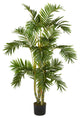 4' Areca Palm Silk Tree
