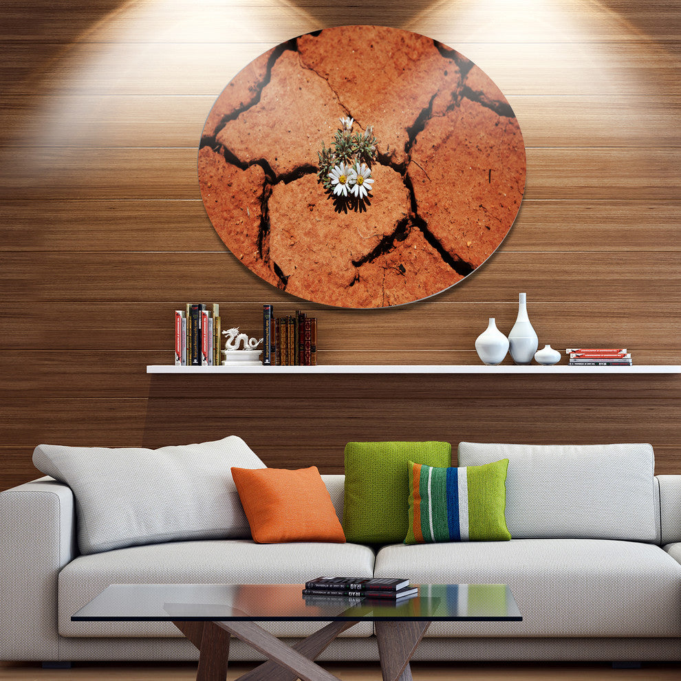 Surviving Flowers On Drought Land, Landscape Round Metal Wall Art, 11"