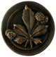 Horse Chestnut Knob Antique Brass, Dark Brass