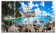 "Nestor Notabilis Kea Panorama" Extra Large Seashore Wall Art, 4 Panels, 48"x28"
