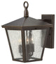 Hinkley Trellis Medium Wall Mount Lantern, Regency Bronze