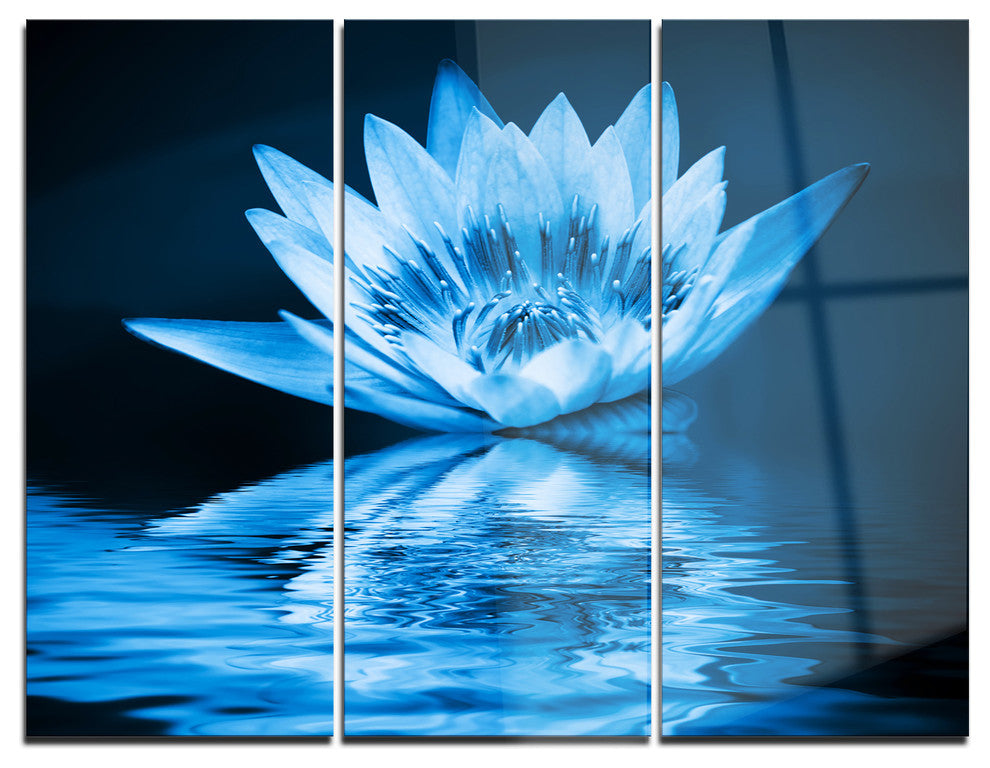 "Blue Water Lily" Digital Metal Wall Art, 3 Panels, 36"x28"