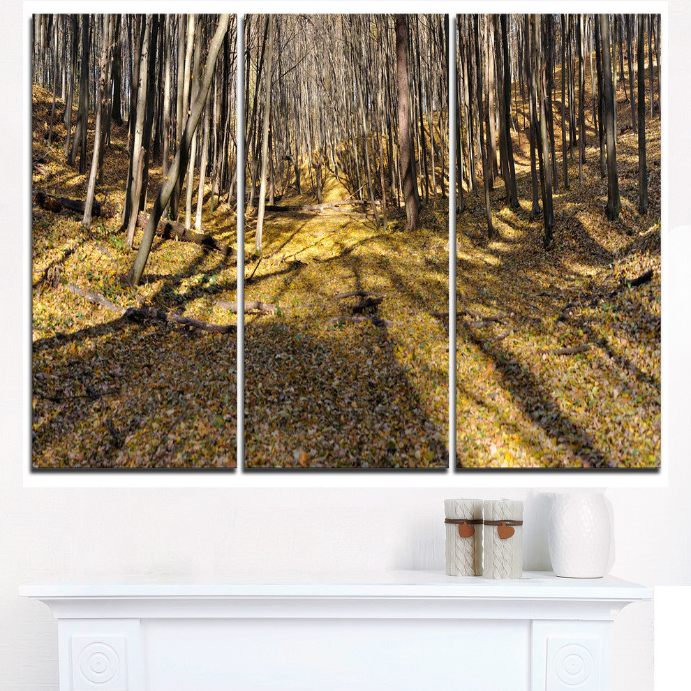 "Majestic Autumn Forest Panorama" Metal Wall Art, 3 Panels, 36"x28"