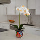 26" Artificial Orchid Arrangement, Handmade Mexican Talavera Ceramic Planter