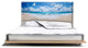 "Library" Headboard