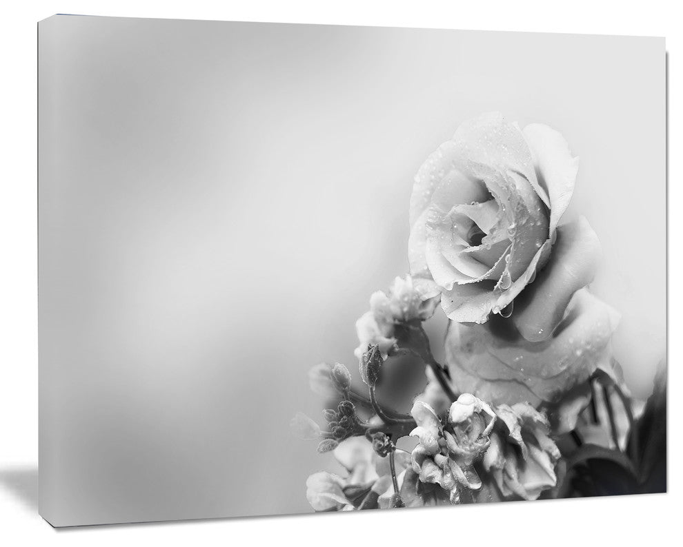 Black and White Rose in Spring., Floral Canvas Art Print, 20"x12"