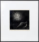 Mario Avati "La Bombe Et Le Coquille" Mezzotint
