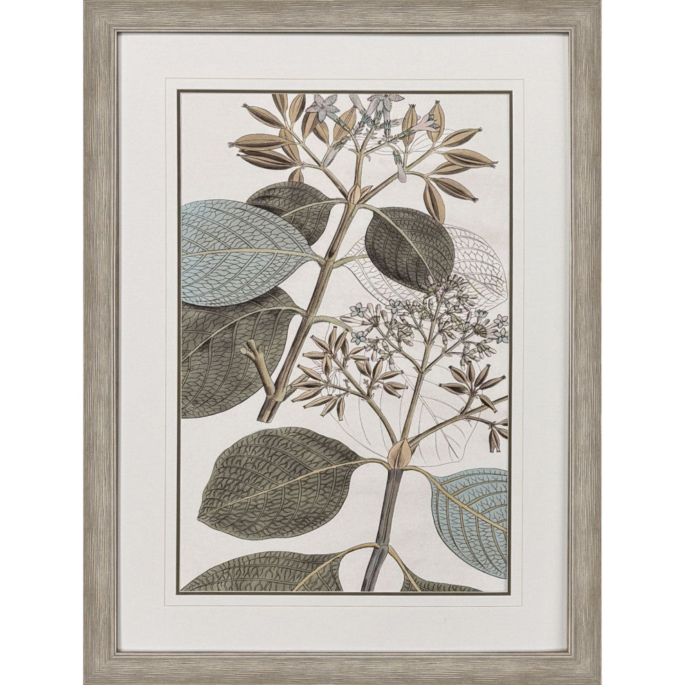 Flowering Botanical I Framed Art