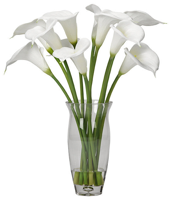 White calla lilies in glass vase