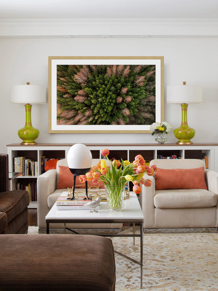 "Feather Trees" Framed Print by Karolis Janulis