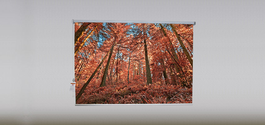 "Autumn Forest" Artwork, 4' Shade, Blackout, Left
