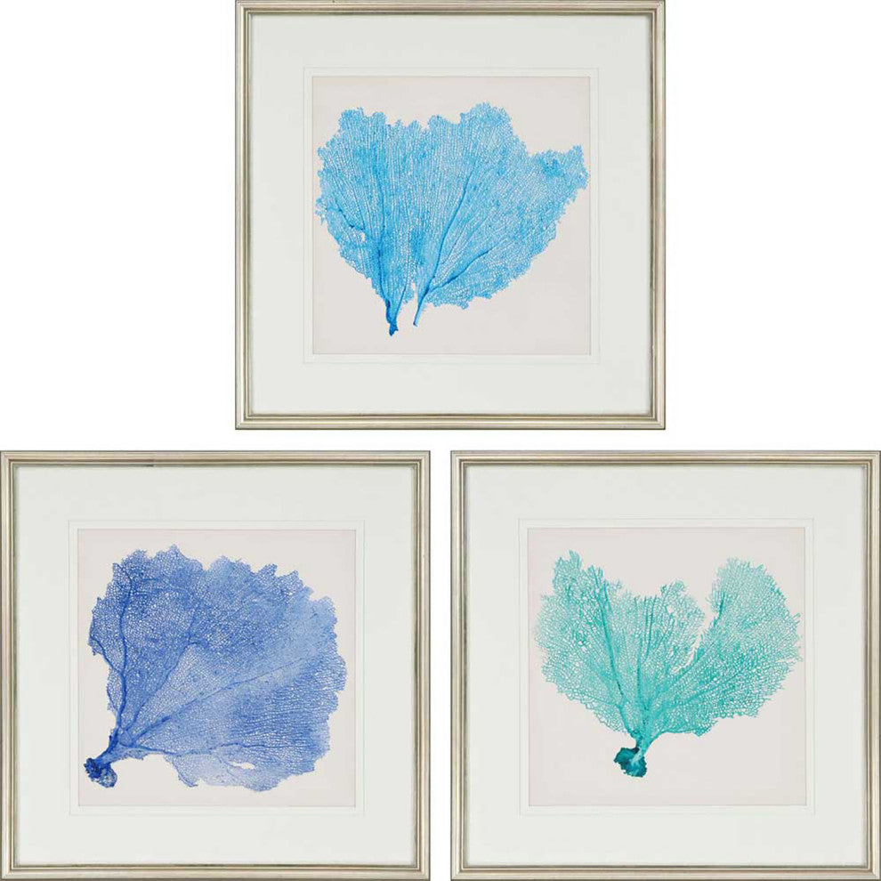 Sea Fan II Framed Art, 3-Piece Set