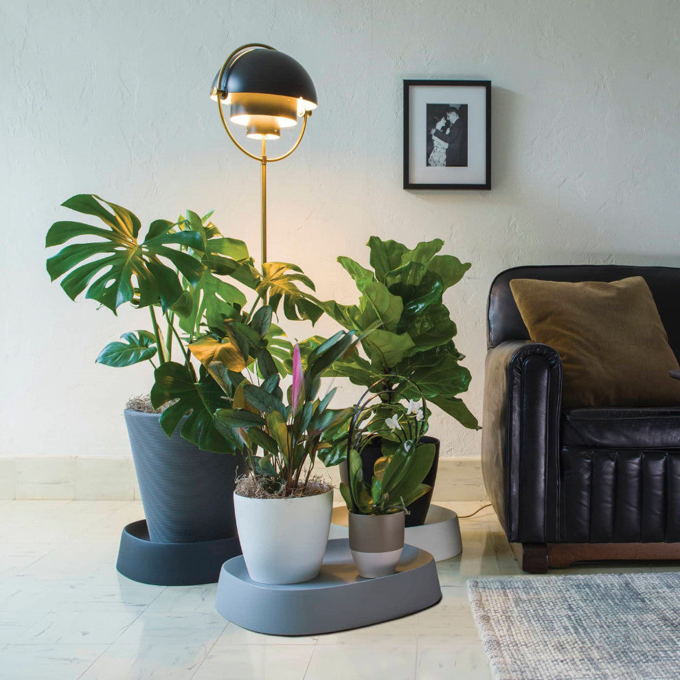 Pebble  Modern Plant Caddy with Hidden Wheels, Olive, Small