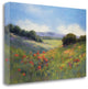 "Poppies With A VIew" By Alice Weil, Giclee Print on Gallery Wrap Canvas