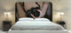 "Yashika Camera" Headboard