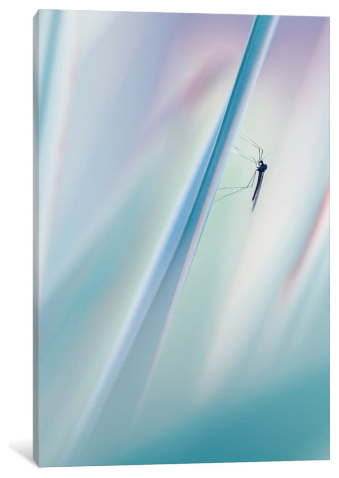"Prickly And Sweet" by Fabien Bravin, 40x26x1.5