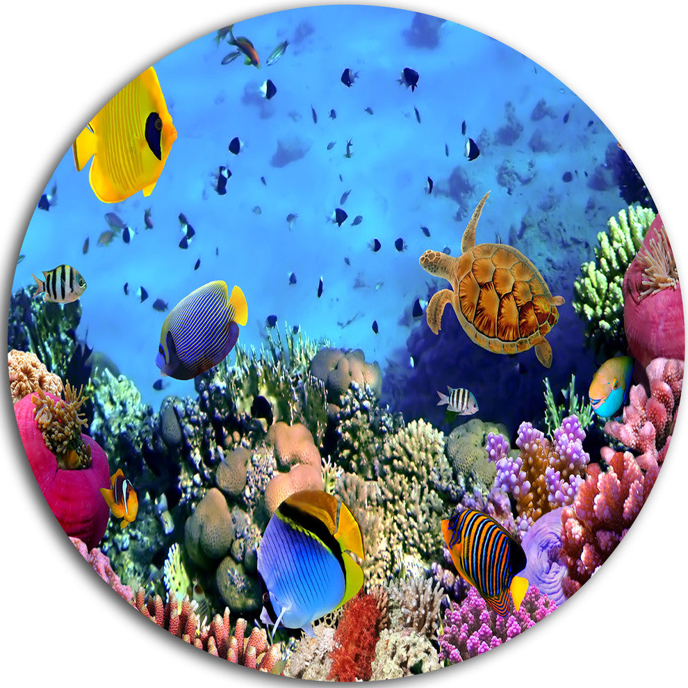Coral Colony And Coral Fishes, Seascape Photo Disc Metal Wall Art, 23"