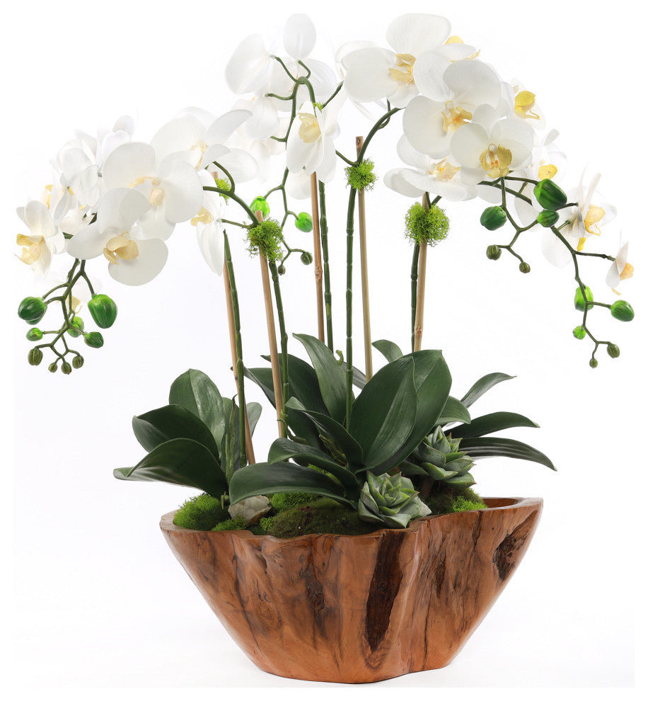 White Real Touch Phalaenopsis Orchids in Rustic Teak Bowl