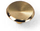 1 1/2" Modern Standards Knob - Polished Brass