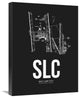 "Salt Lake City Airport Black" Fine Art Print