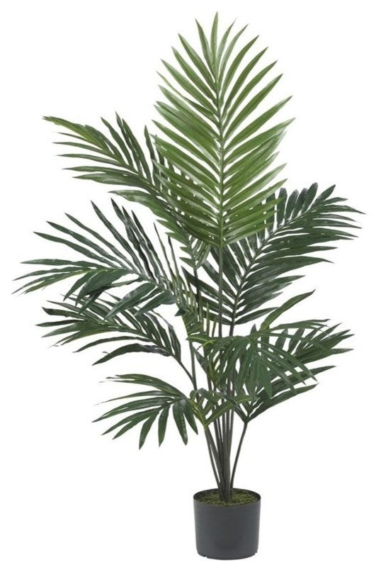 5' Kentia Palm Silk Tree