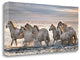 "Running Horses" By Xavier Ortega, Giclee Print on Gallery Wrap Canvas
