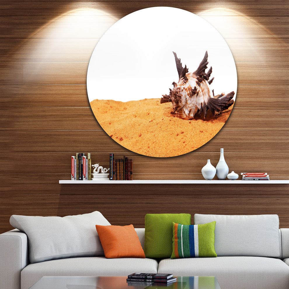 Sea Shells On Sand, Seashore Round Metal Wall Art, 23"