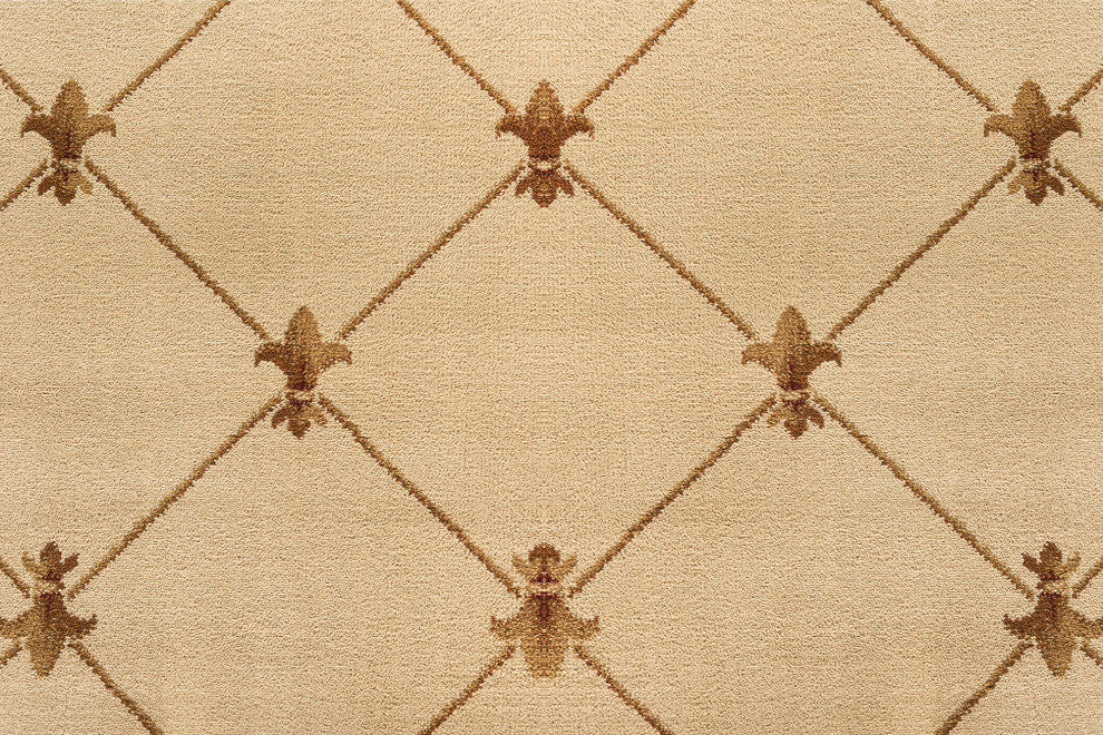 Orleans Traditional Border Area Rug, Ivory, 5'3"x7'3"