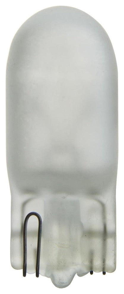 5 Watt T3.25 Xelogen, Wedge Base, Frost