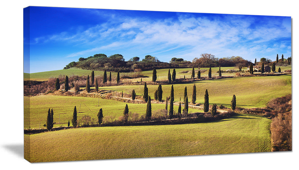 "Cypress Trees Scenic Road Siena Italy" Landscape Wall Art, 40"x20"