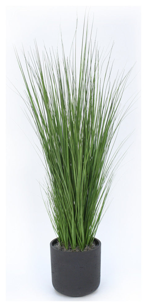 Grass in Black Wash Pot