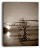 "Flying Birds And Lonely Tree" Wall Art Landscape, 12"x20"