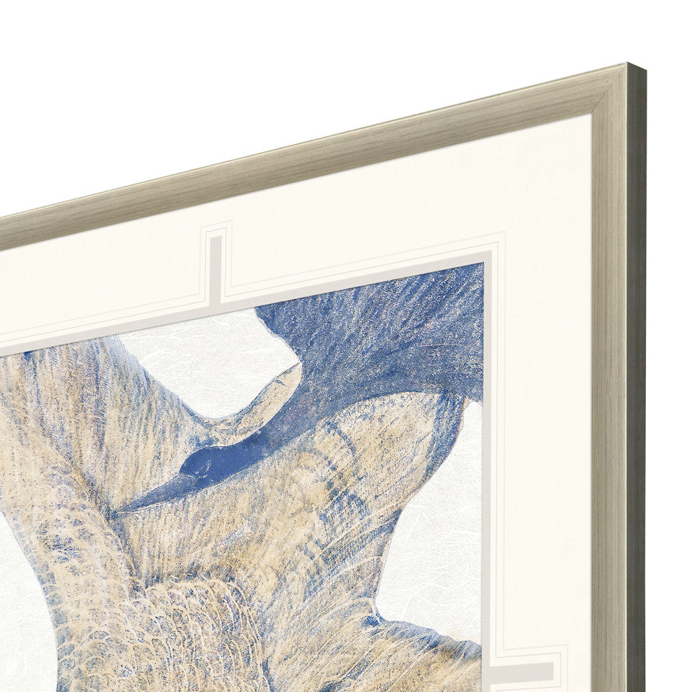 Plumage II Framed Art