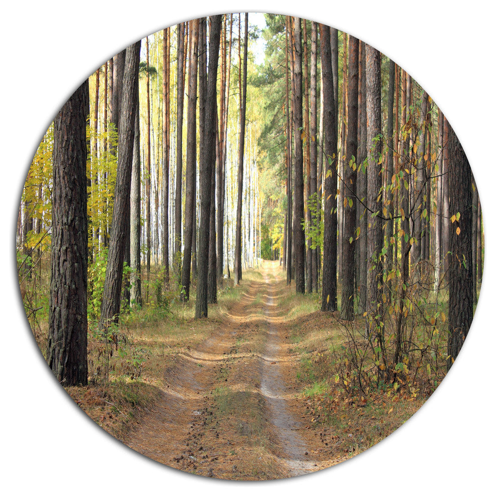Pathway In Autumn Pine Forest, Modern Forest Round Metal Wall Art, 23"
