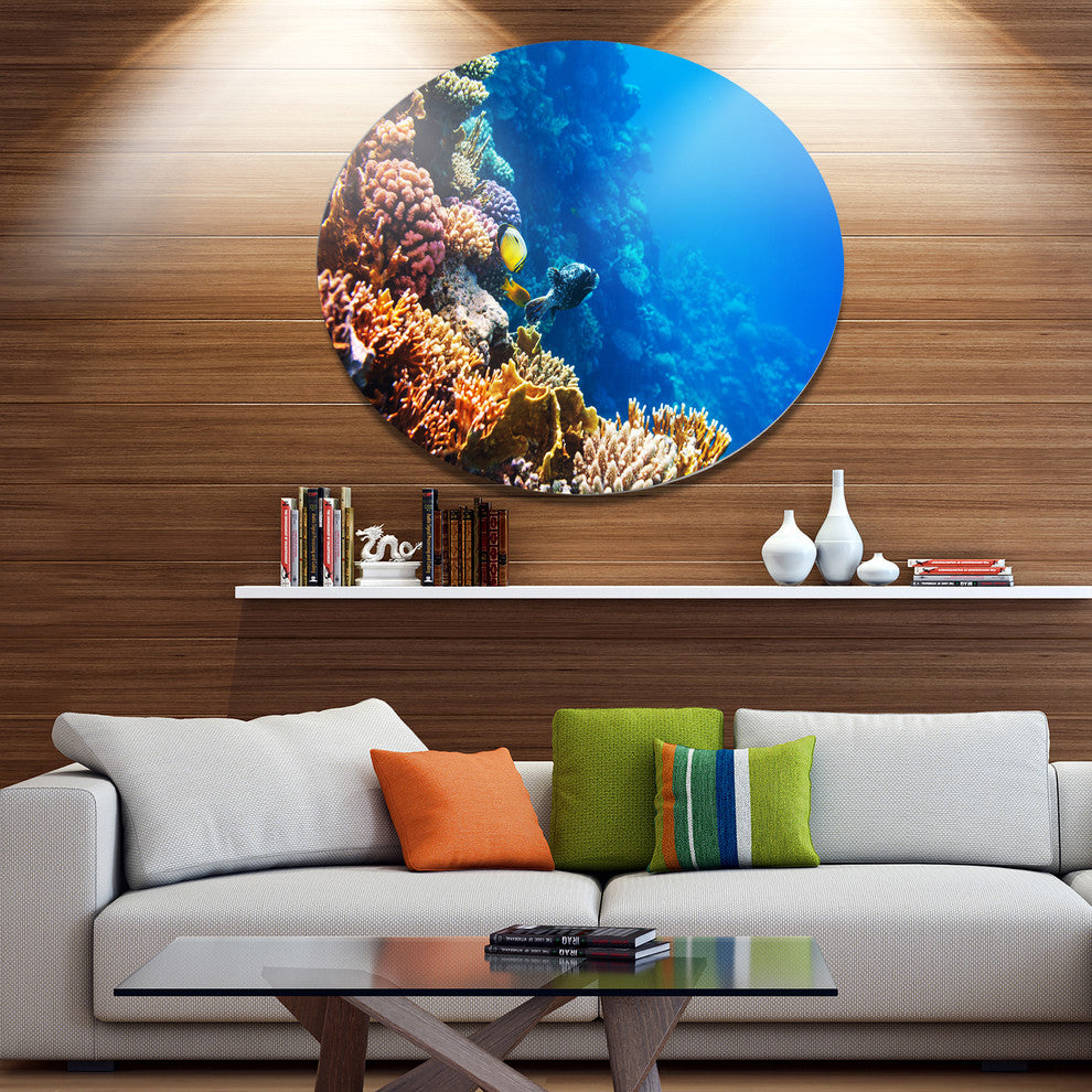 Beautiful Coral Fish Of Red Sea, Seashore Disc Metal Artwork, 36"