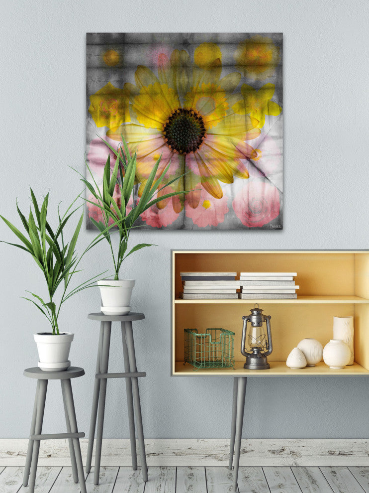"Pink and Yellow Sunflower" Fine Art Canvas Print, 24"x24"