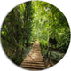 Forest Way To Emerald Pool, Landscape Photo Disc Metal Artwork, 36"