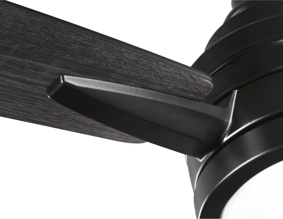 Gaze Collection 60" LED 3-Blade Ceiling Fan, Black