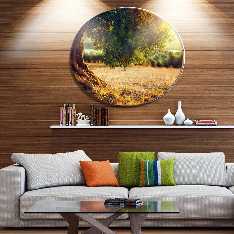 Stunning Olive Trees At Sunset, Landscape Art Round Wall Art, 11"