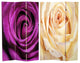 6' Tall Double Sided Roses Room Divider