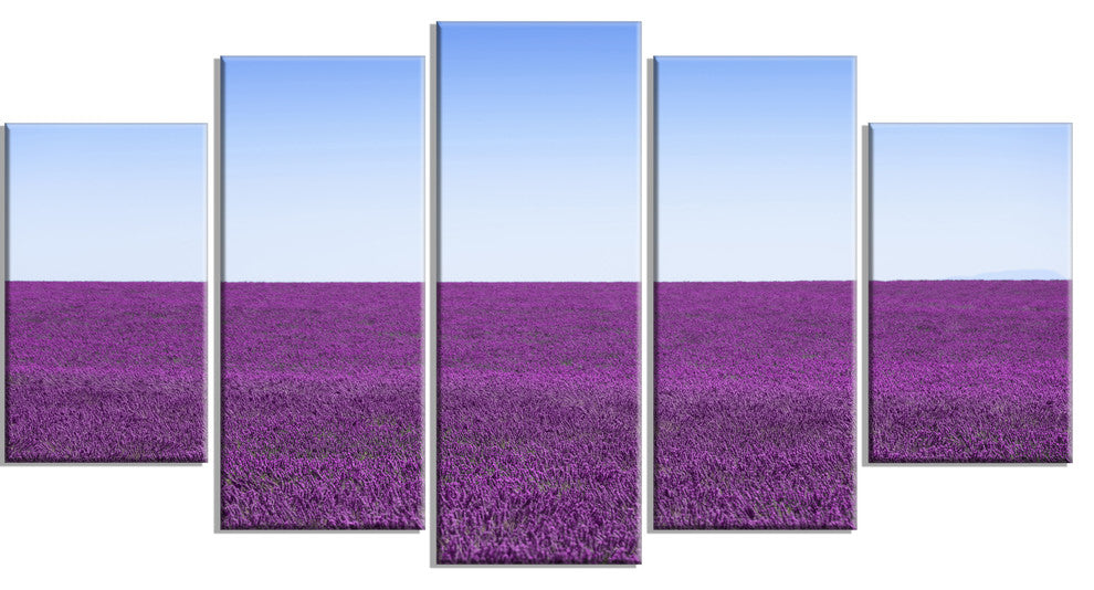 "Lavender Flowers With Blue Horizon" Landscape Wall Art Print, 5 Panels, 60"x32"
