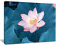 "Blooming Pink Lotus Flower" Oversized Beach Canvas Artwork, 20"x12"