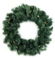 24" Washington Frasier Pe/Pvc Wreath, 180 Tips, 35 Clear Lights