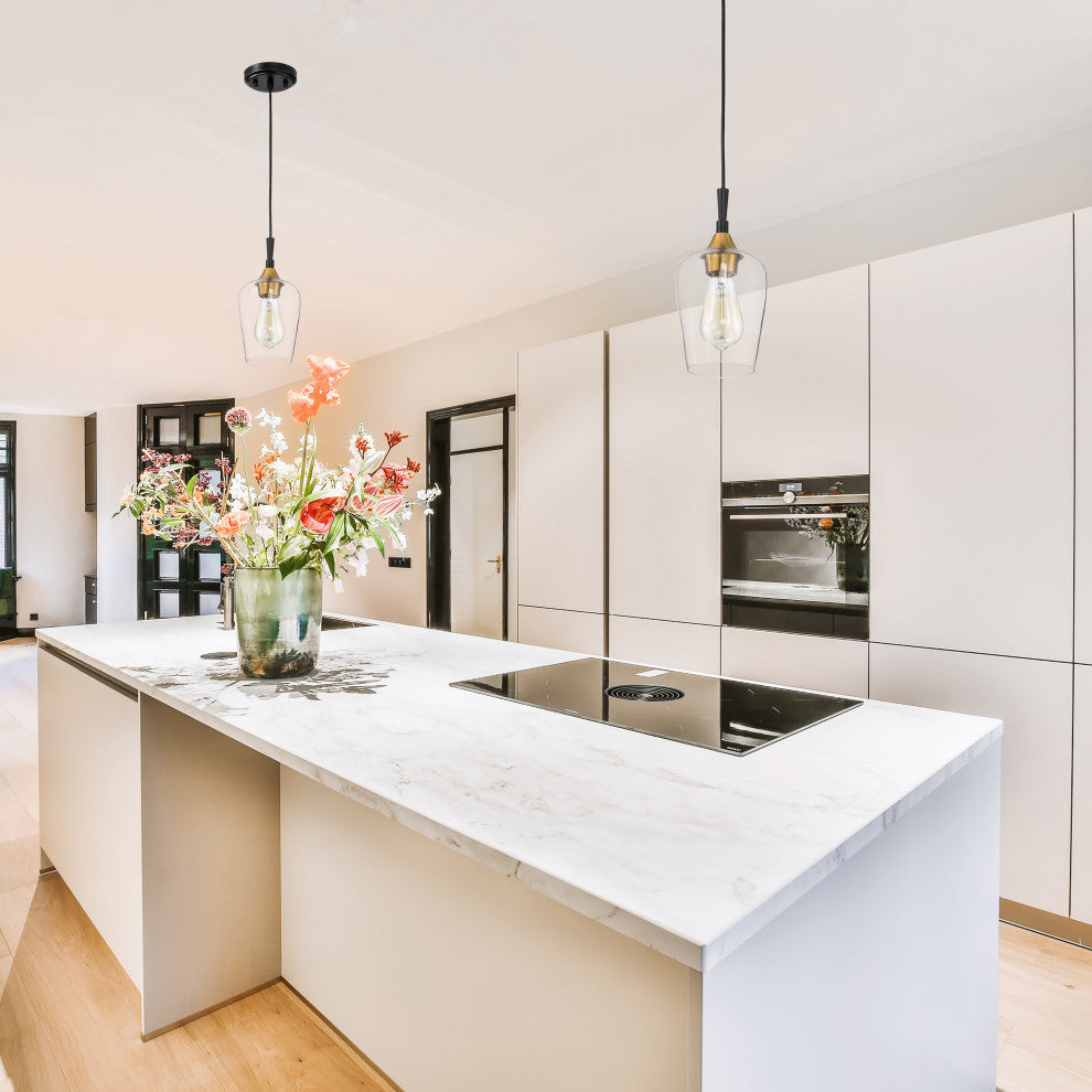 1-Light Black and Antique Brass Modern Mini Pendant With Clear Glass Shade