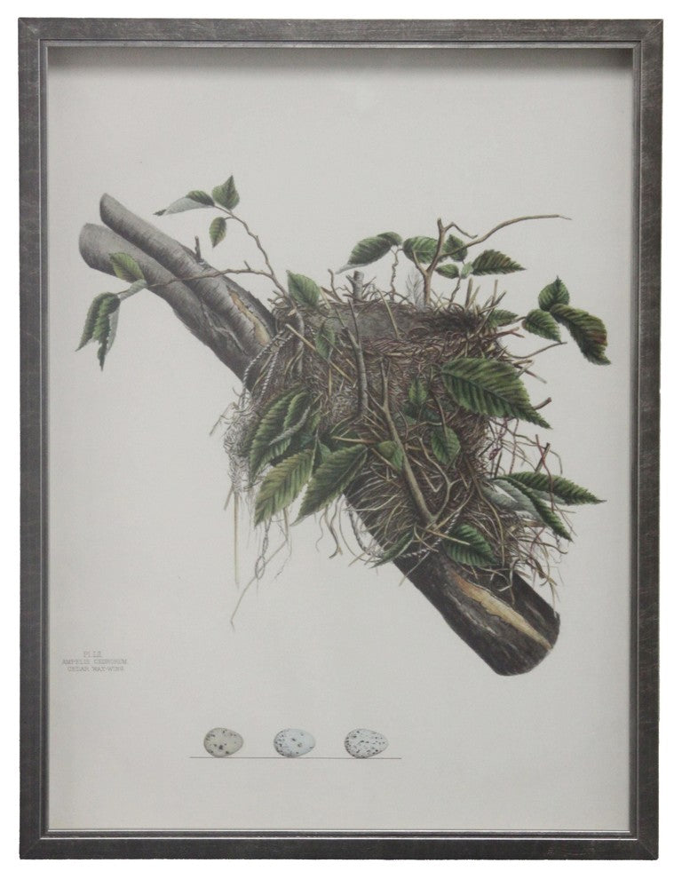 Bird Nest Plate, Pewter Shadowbox