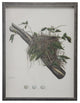 Bird Nest Plate, Pewter Shadowbox