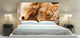 "Lion Mates" Headboard