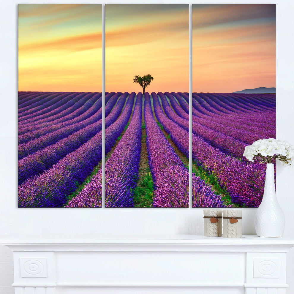 "Lavender Flower Rows in Provence" Metal Wall Art, 3 Panels, 36"x28"