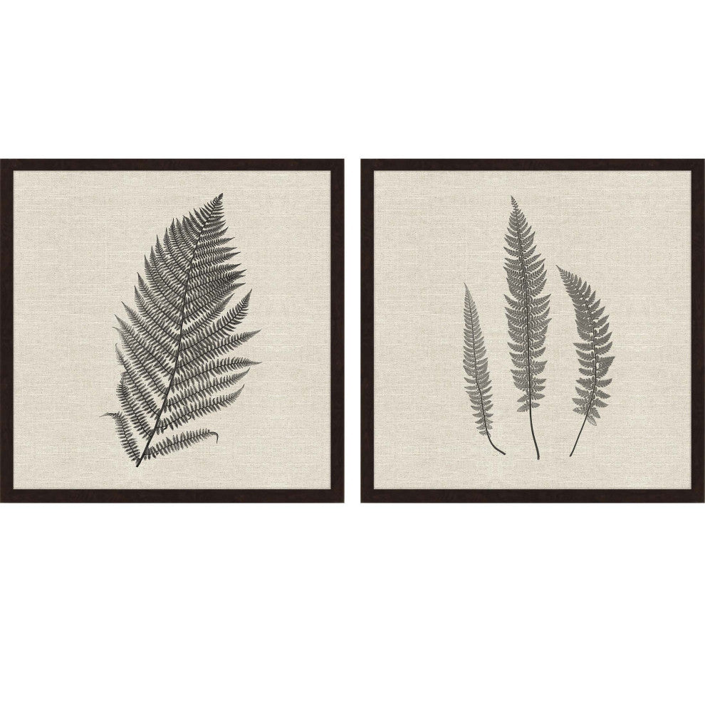 Modern Ferns II, Set of 2