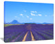 "Lavender Blooming Fields And Trees" Landscape Wall Art Print, 20"x12"